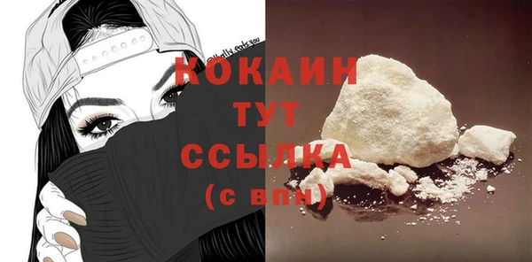 ГАЛЛЮЦИНОГЕННЫЕ ГРИБЫ Инта