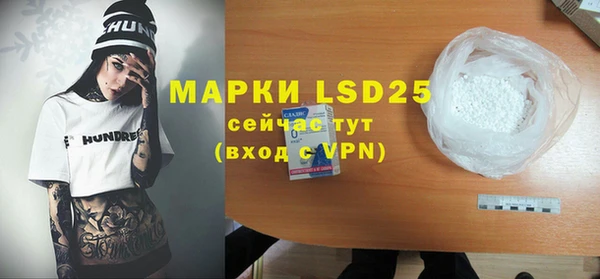 ГАЛЛЮЦИНОГЕННЫЕ ГРИБЫ Инта