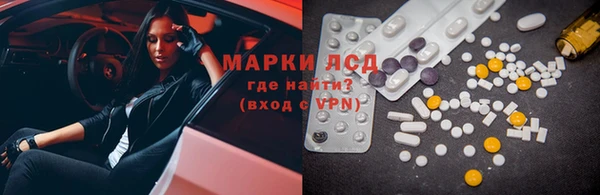 ГАЛЛЮЦИНОГЕННЫЕ ГРИБЫ Инта