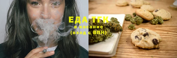 ГАЛЛЮЦИНОГЕННЫЕ ГРИБЫ Инта