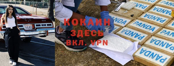 ГАЛЛЮЦИНОГЕННЫЕ ГРИБЫ Инта