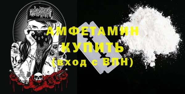2c-b Инсар