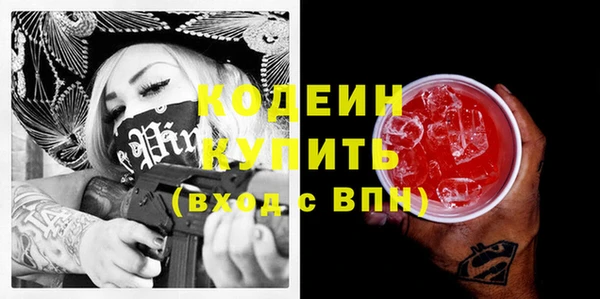 2c-b Инсар