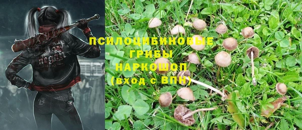 ГАЛЛЮЦИНОГЕННЫЕ ГРИБЫ Инта