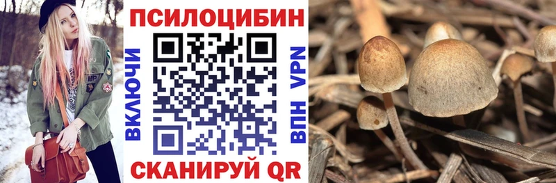 Купить где  Крымск  Галлюциногенные грибы ЛСД 